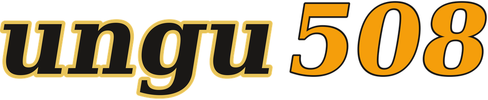 ungu508 logo